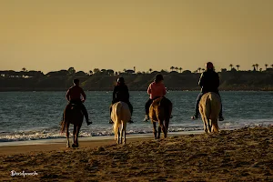 Equestrian Center Las Marias image