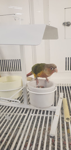 Pet Supply Store «Petco Animal Supplies», reviews and photos, 1500 N Town E Blvd, Mesquite, TX 75150, USA