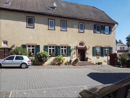 Dr. med. vet. Ingo Schneider - Fachtierarzt für Klein-und Heimtiere unter Nidderau, 