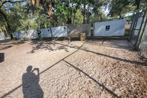 Rotary Centennial Dog Park image