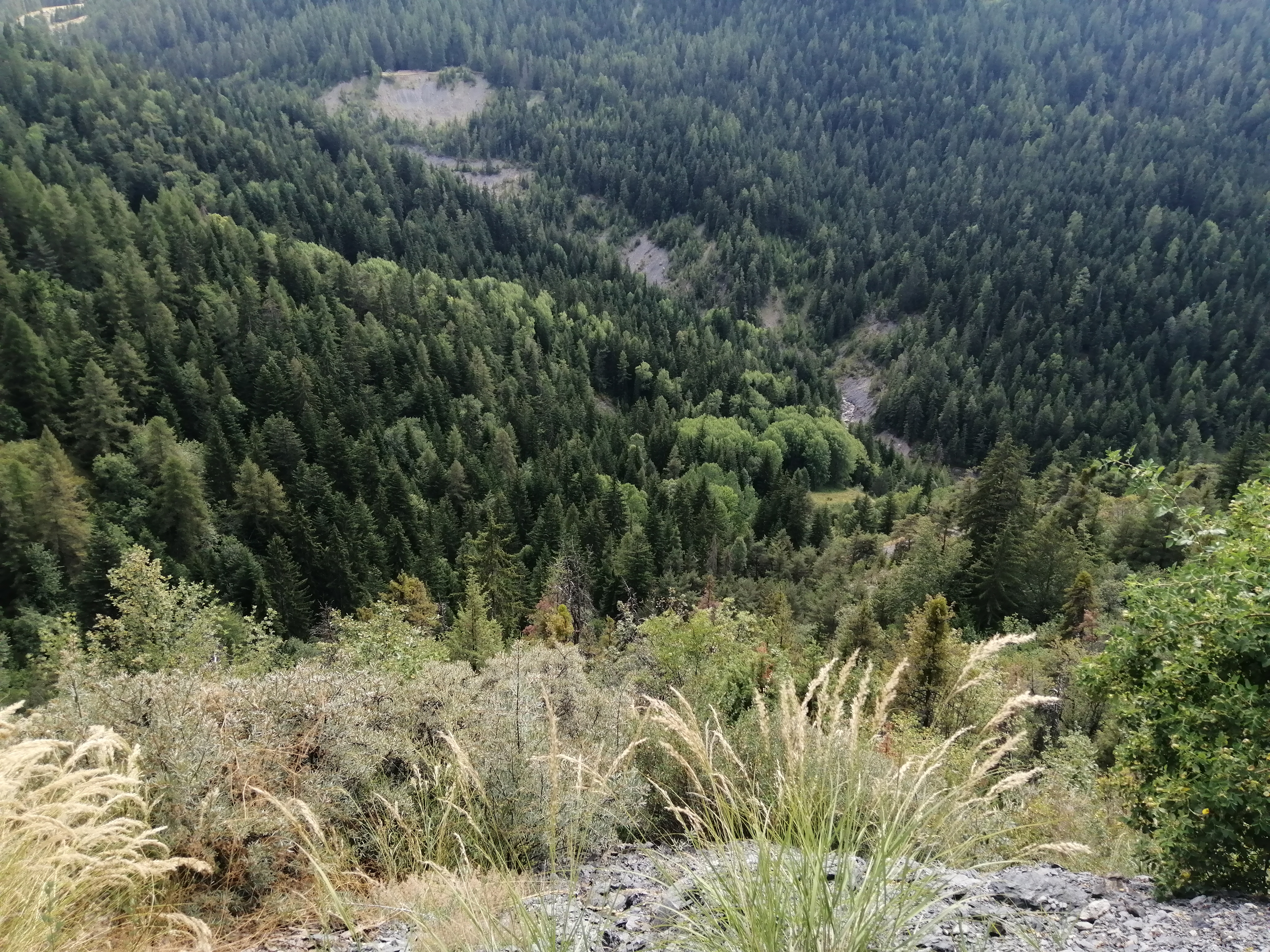 Photo n° 7 de l'avis de Laurence.e fait le 31/08/2023 à 11:28