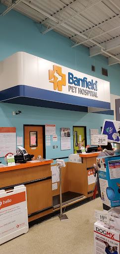 Pet Supply Store «PetSmart», reviews and photos, 28556 Telegraph Rd, Southfield, MI 48034, USA