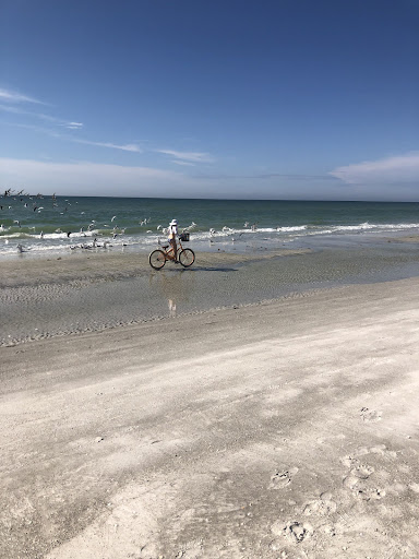 Bicycle Store «Rad Bicycles, Boards, Hobbies & Sup & Kayak Rentals», reviews and photos, 1401 Gulf Blvd #5, Indian Rocks Beach, FL 33785, USA