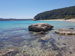 Photo de Canetu beach situé dans une zone naturelle