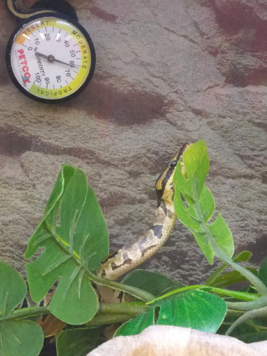 Pet Supply Store «Petco Animal Supplies», reviews and photos, 313 Homer M Adams Pkwy, Alton, IL 62002, USA