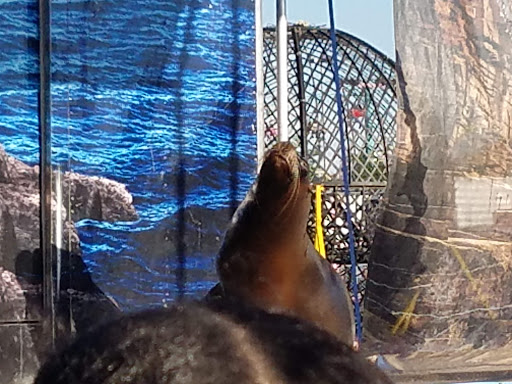 Sports Complex «Meadowlands Sports Complex», reviews and photos, 50 NJ-120, East Rutherford, NJ 07073, USA