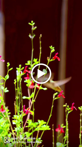 Gift Shop «Quetzal Boutique», reviews and photos, 3509 E 1st St, Los Angeles, CA 90063, USA