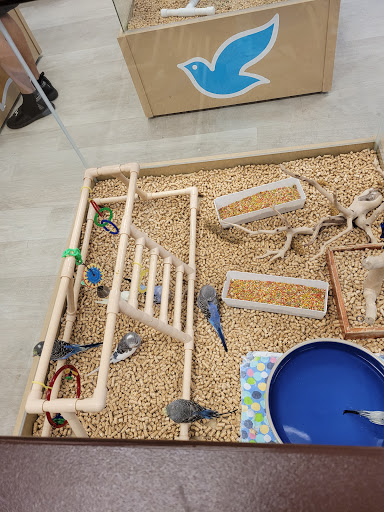 Pet Store «Petland Topeka», reviews and photos, 1801 SW Wanamaker Rd, Topeka, KS 66614, USA