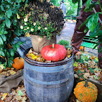 Photo n° 1 de l'avis de El.i fait le 25/10/2022 à 16:54 pour Nigloland à Dolancourt