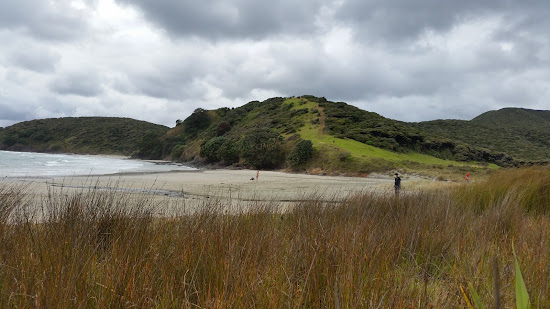 Pandora Beach