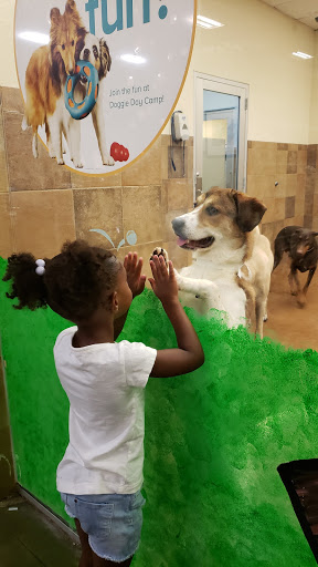 Pet Supply Store «PetSmart», reviews and photos, 860 NE Mall Blvd, Hurst, TX 76053, USA