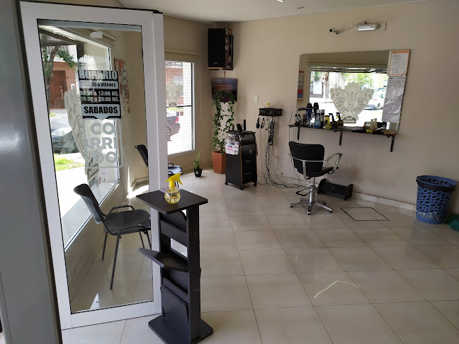 Pichusalon - Peluquería Masculina