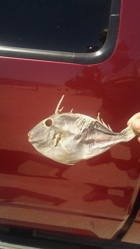 Mexican Restaurant «Margaritas Mexican Restaurant», reviews and photos, 775 US-1, Portsmouth, NH 03801, USA