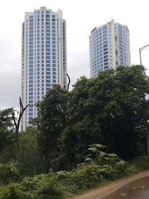 Google Maps image 10