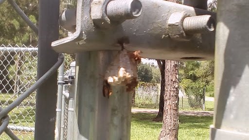 Park «Lake Rogers Park», reviews and photos, 9010 N Mobley Rd, Odessa, FL 33556, USA