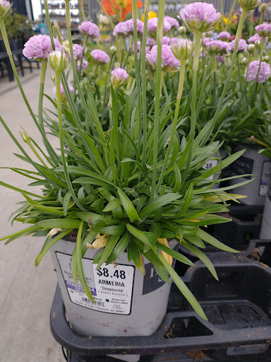 Department Store «Walmart Supercenter», reviews and photos, 20 Soojian Dr, Leicester, MA 01524, USA