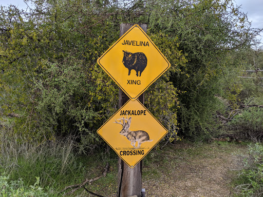 Wildlife Rescue Service «Southwest Wildlife Conservation Center», reviews and photos, 27026 N 156th St, Scottsdale, AZ 85262, USA