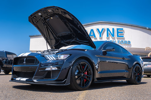 Ford Dealer «Payne Rio Grande City Ford», reviews and photos