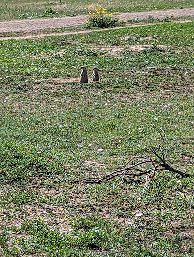 State Park «Cherry Creek State Park», reviews and photos, 4201 S Parker Rd, Aurora, CO 80014, USA