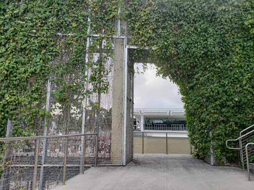 Stadium «FAU Stadium», reviews and photos, 777 Glades Road, Boca Raton, FL 33431, USA