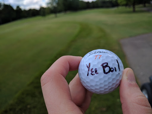 Golf Club «Gull Lake View Golf Club & Resort», reviews and photos, 7417 N 38th St, Augusta, MI 49012, USA