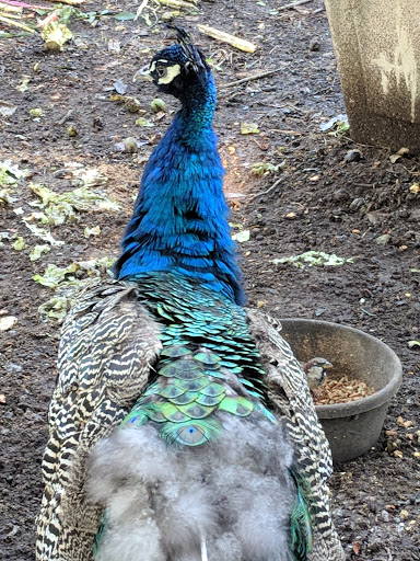 Produce Market «Highland Orchards Farm Market», reviews and photos, 1431 Foulk Rd, Wilmington, DE 19803, USA