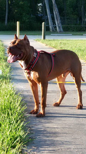 Park «Herman Brown Park», reviews and photos, 400 Mercury Dr, Houston, TX 77013, USA