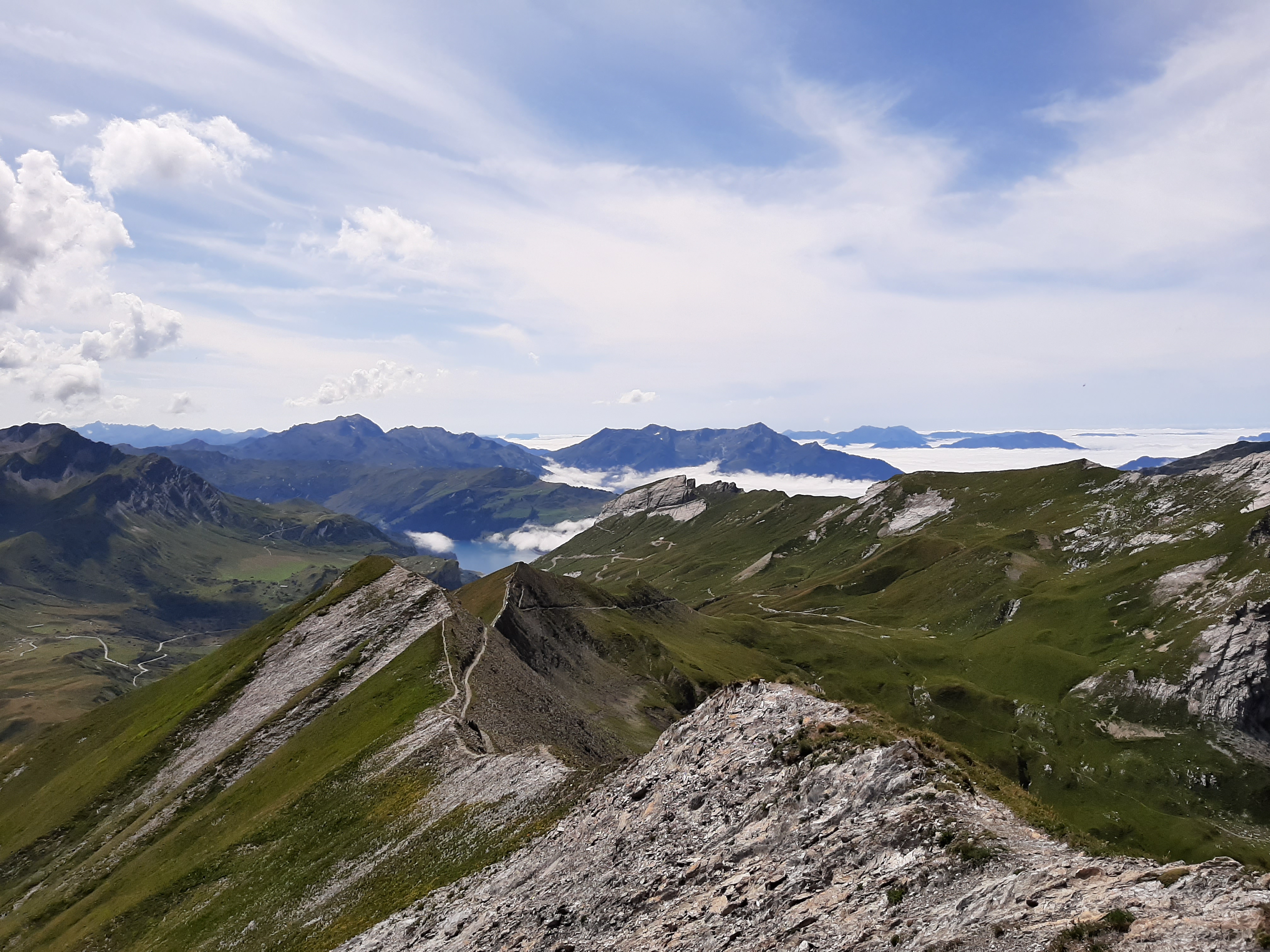 Photo n° 1 de l'avis de Marc.e fait le 26/08/2019 à 16:01