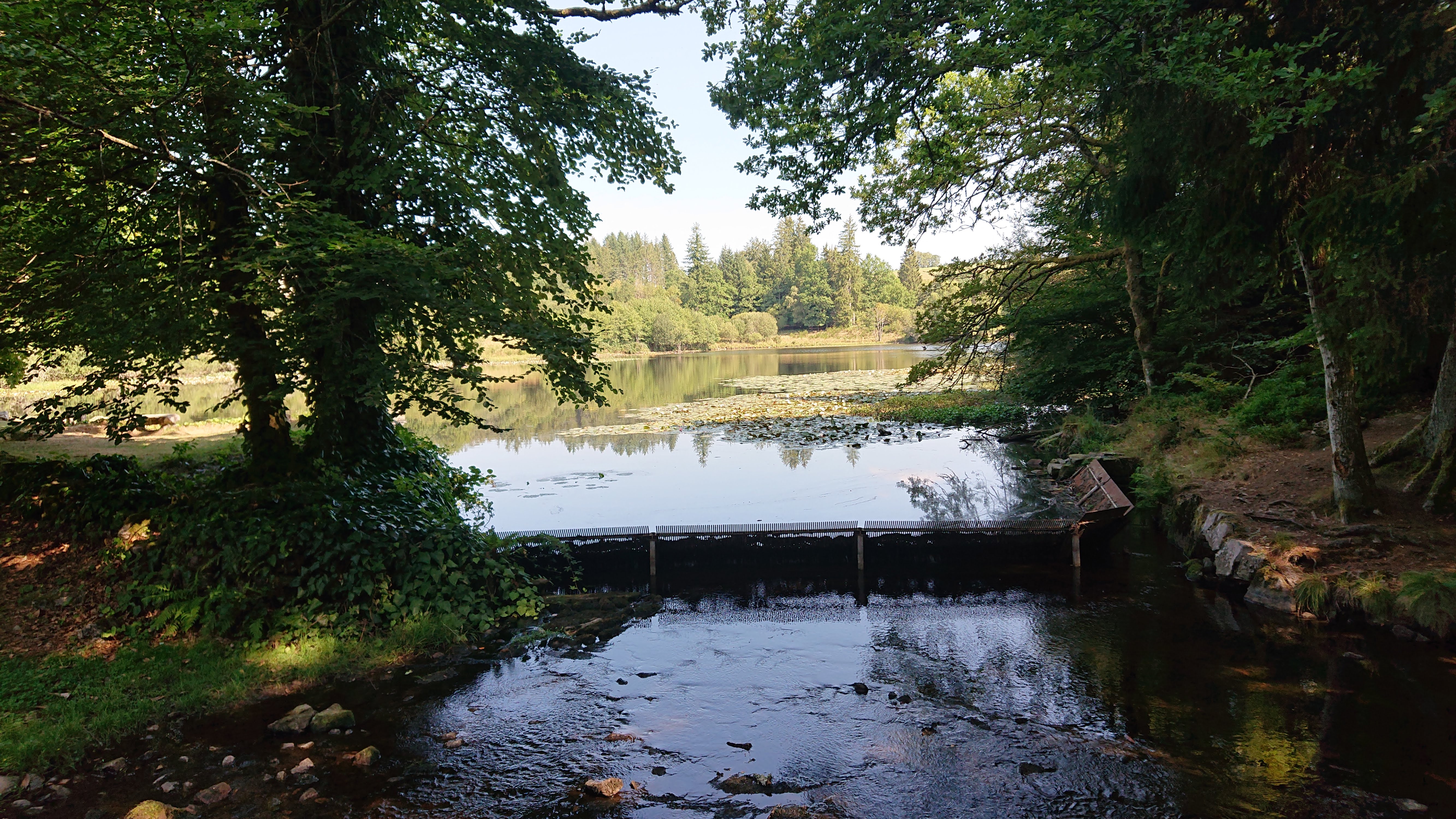 Photo n° 2 de l'avis de Régis.u fait le 07/09/2019 à 20:52