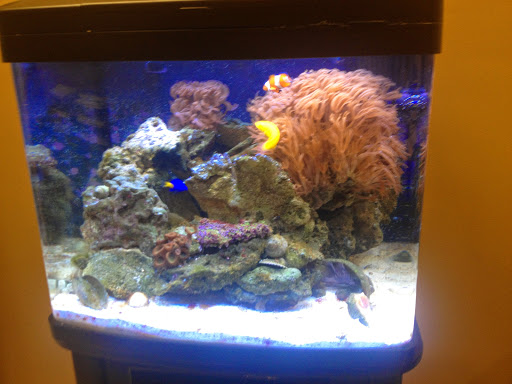 Mailing Service «Southwest Direct», reviews and photos, 2129 Andrea Ln, Fort Myers, FL 33912, USA