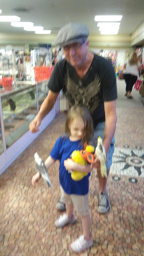 Thrift Store «SPCA Thrift Shop», reviews and photos, 4220 S Washington Ave, Titusville, FL 32780, USA