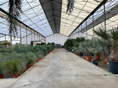 Médipalm à Saint-Geours-de-Maremne
