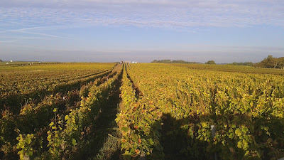 Domaine de la Croix des Vainqueurs à Chançay
