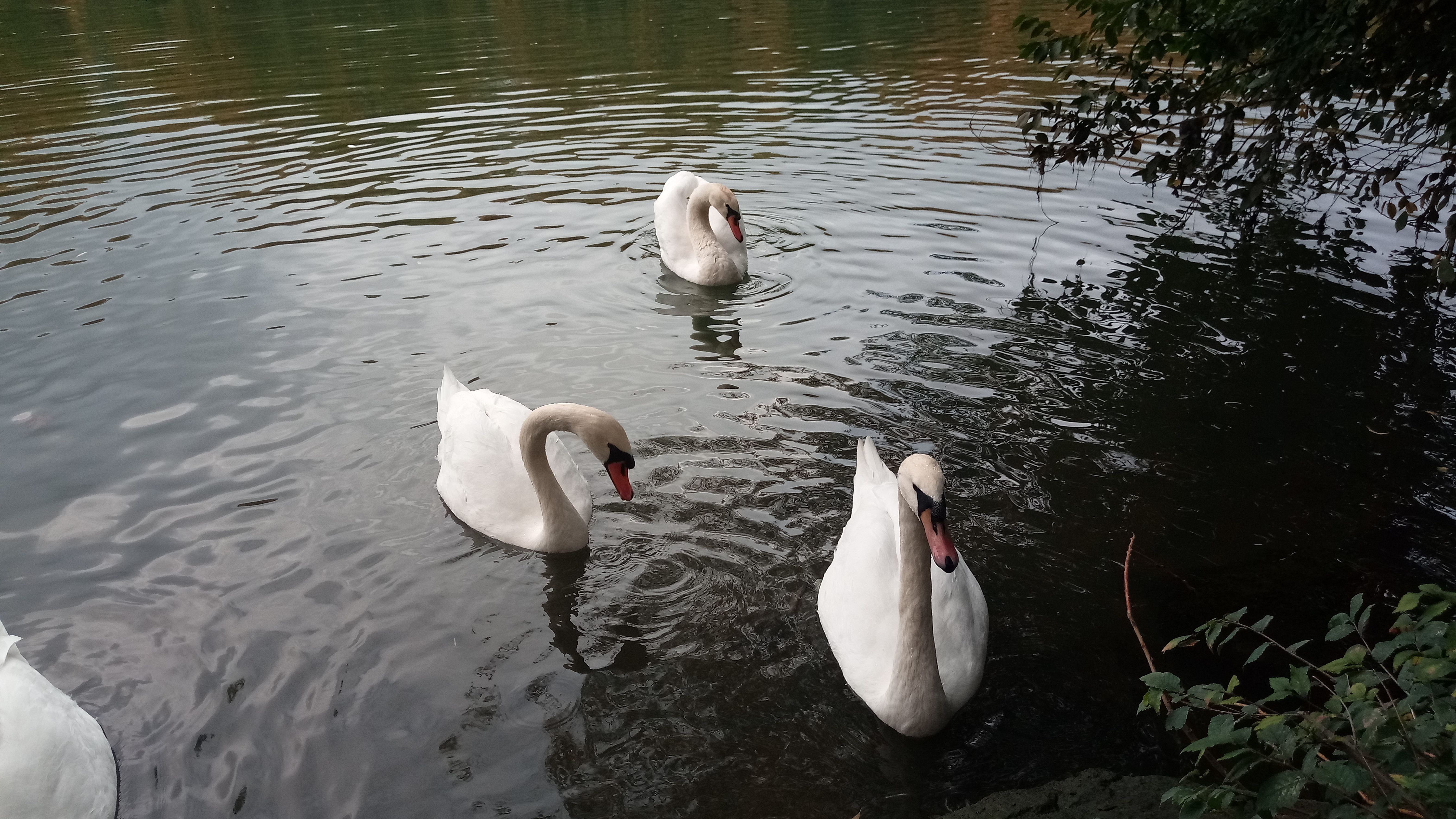 Photo n° 4 de l'avis de Arnaud.N fait le 19/05/2019 à 09:20