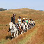 Photo n° 9 de l'avis de Thierry.T fait le 14/08/2023 à 10:17 pour Plateau d'Ambel à Omblèze