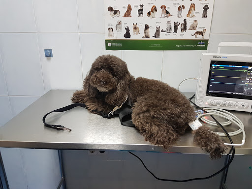 Clínica Veterinaria Don Félix en Getafe