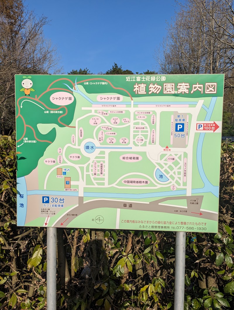 近江富士花緑公園 植物園 第1駐車場