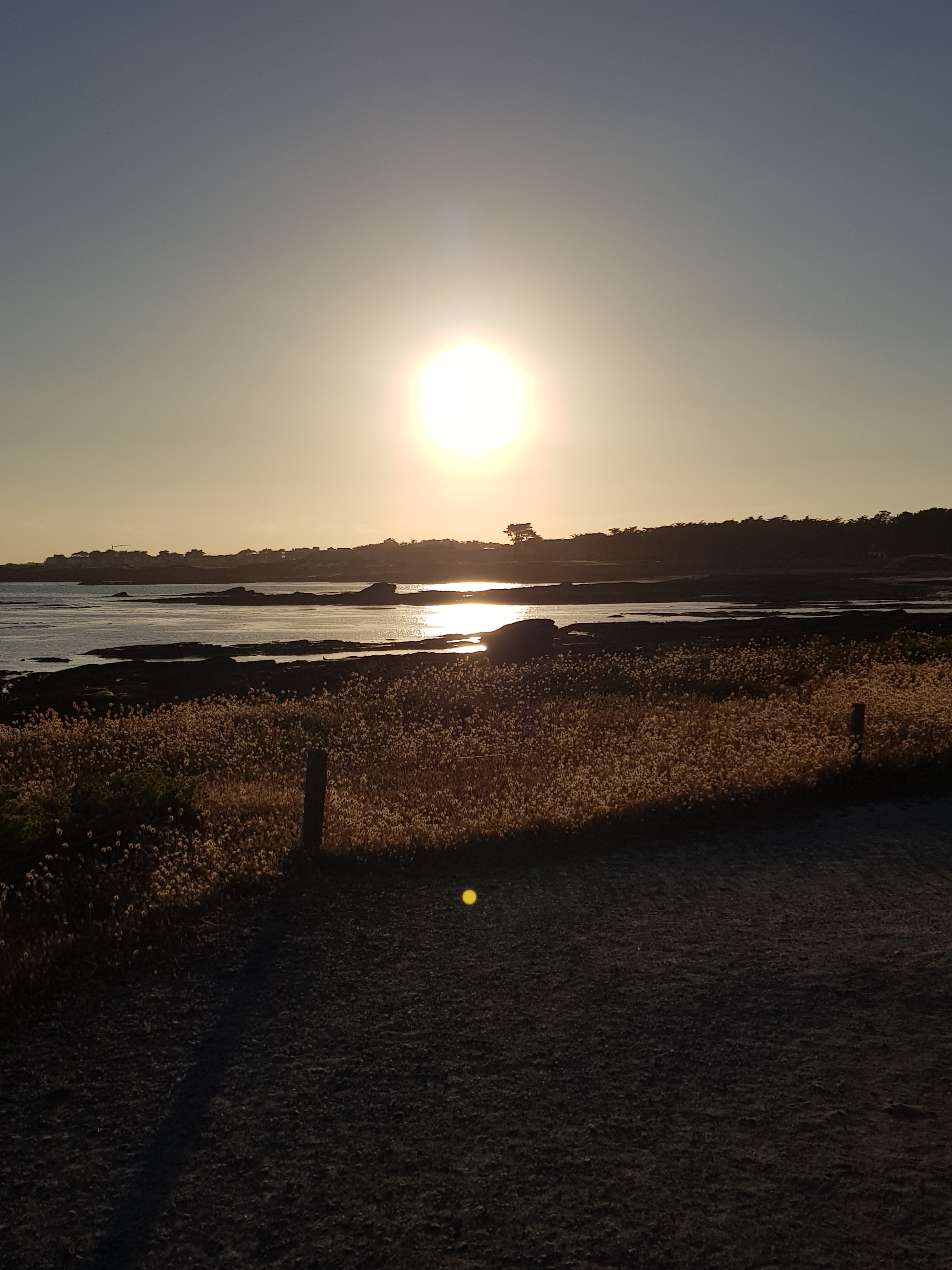 Photo n° 5 de l'avis de Aurélie.e fait le 23/06/2019 à 20:21