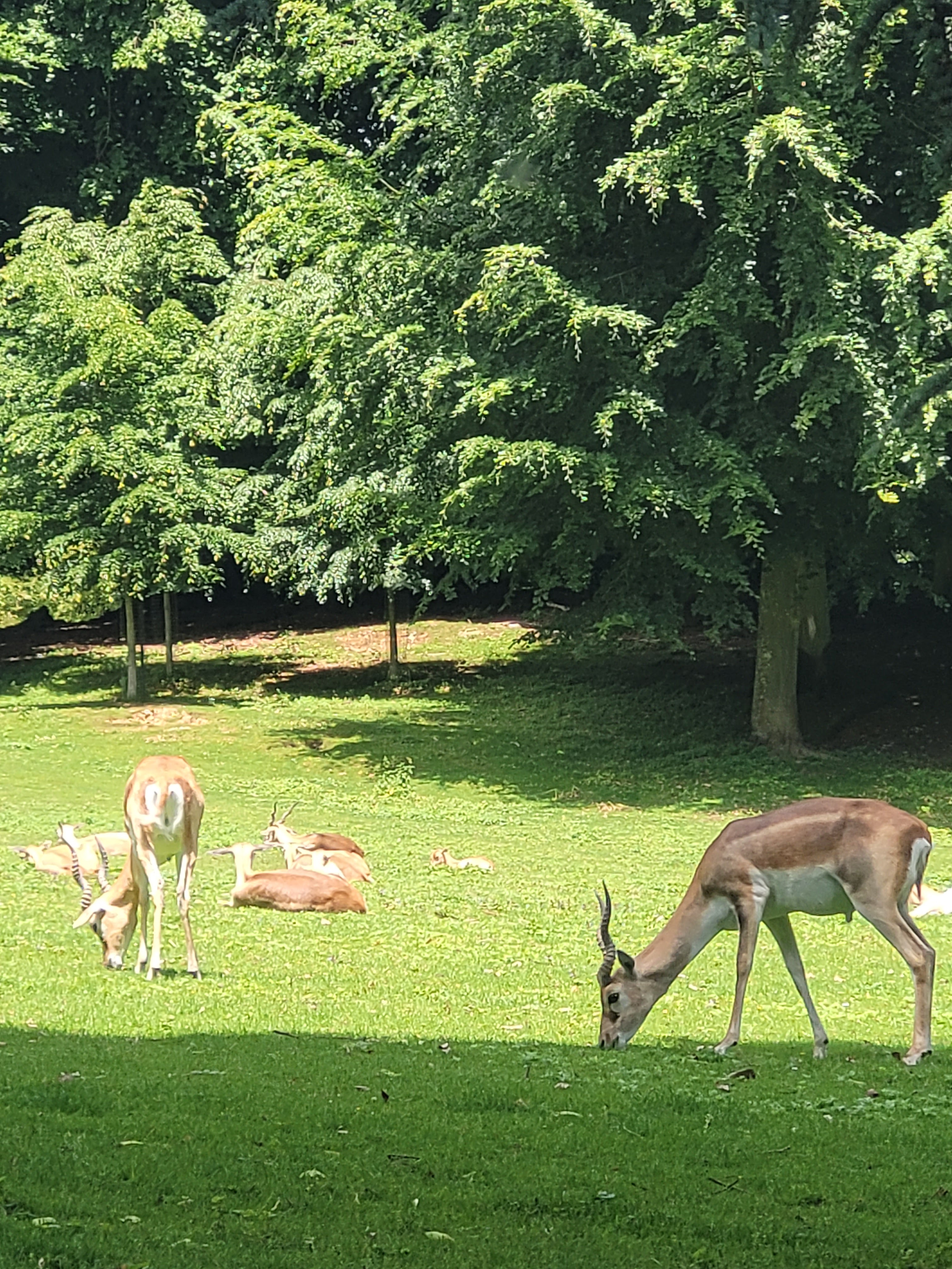 Photo n° 20 de l'avis de Vero.o fait le 14/06/2022 à 11:47