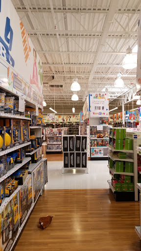 Toy Store «Toys