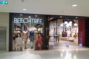 BeechTree image