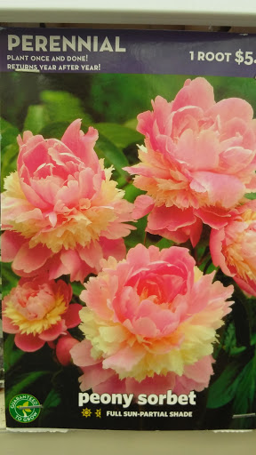 Department Store «Walmart Supercenter», reviews and photos, 1575 Coshocton Ave, Mt Vernon, OH 43050, USA