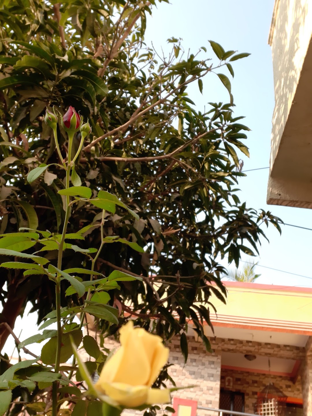 Gokul Nagar