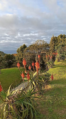 Quinta Girassol - Ponta Delgada