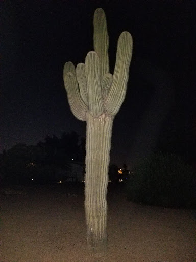 Golf Course «Desert Sands Golf Course», reviews and photos, 1922 S 74th St, Mesa, AZ 85209, USA