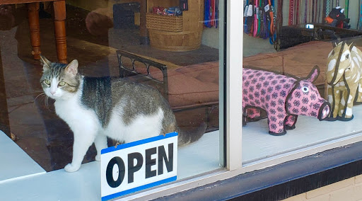 Pet Supply Store «Beowoof Provisions For Pets», reviews and photos, 106 5th St, Hoboken, NJ 07030, USA