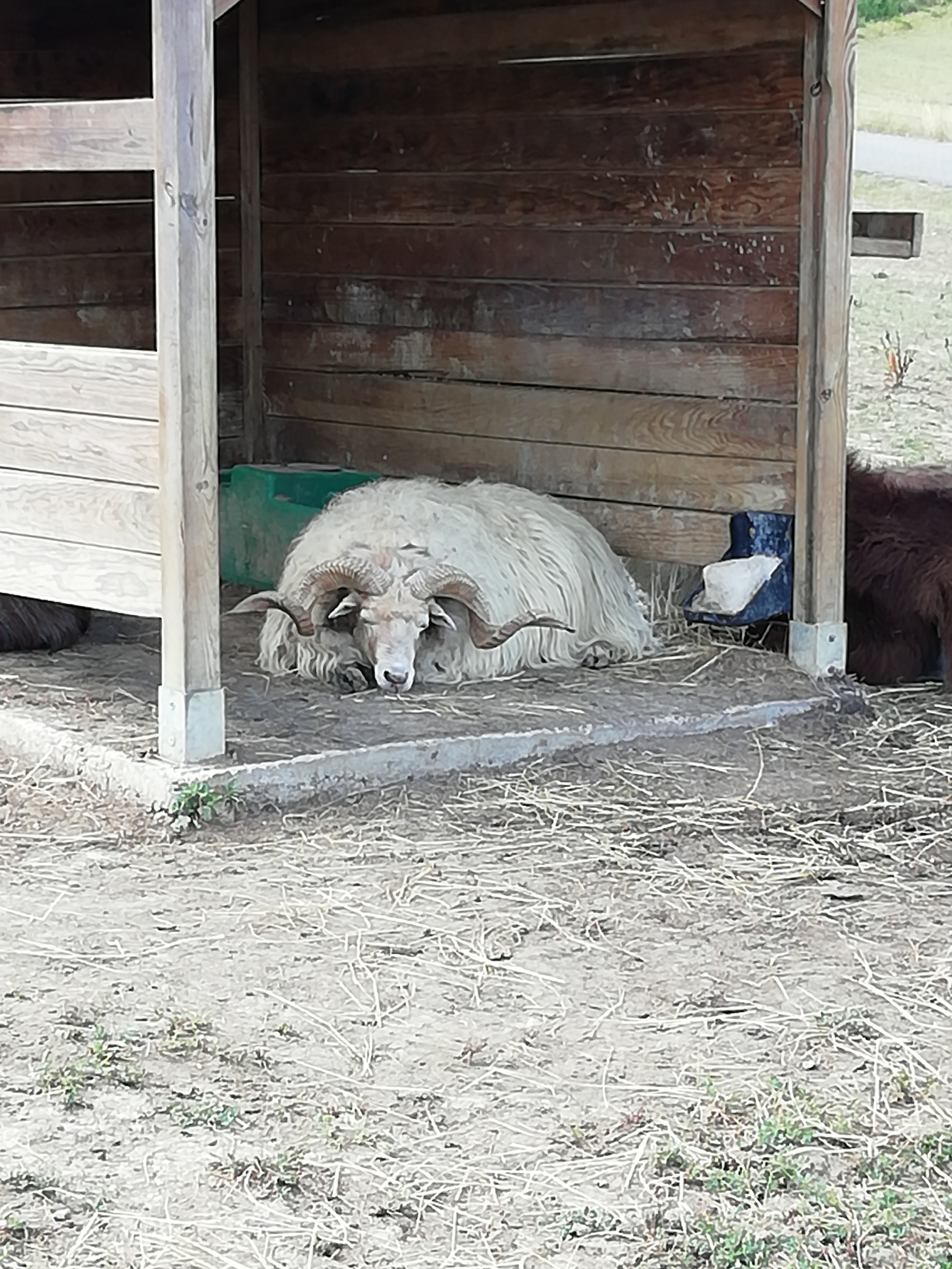 Photo n° 14 de l'avis de Franck.a fait le 23/06/2019 à 15:03