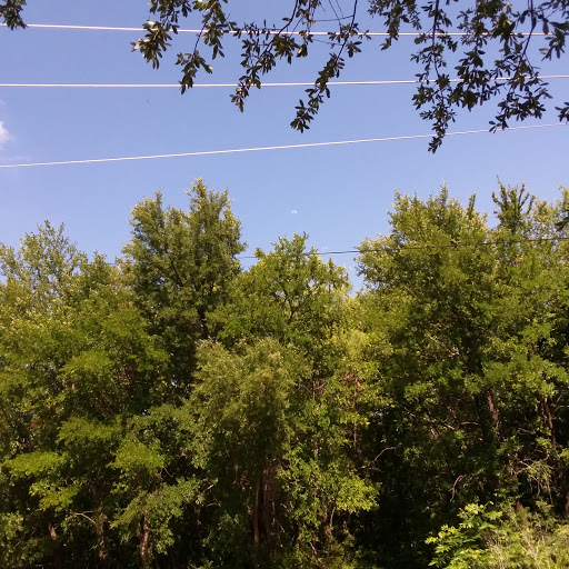 Park «Quanah Parker Park», reviews and photos, 5401 Randol Mill Rd, Fort Worth, TX 76103, USA