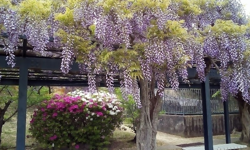 中山寺公園