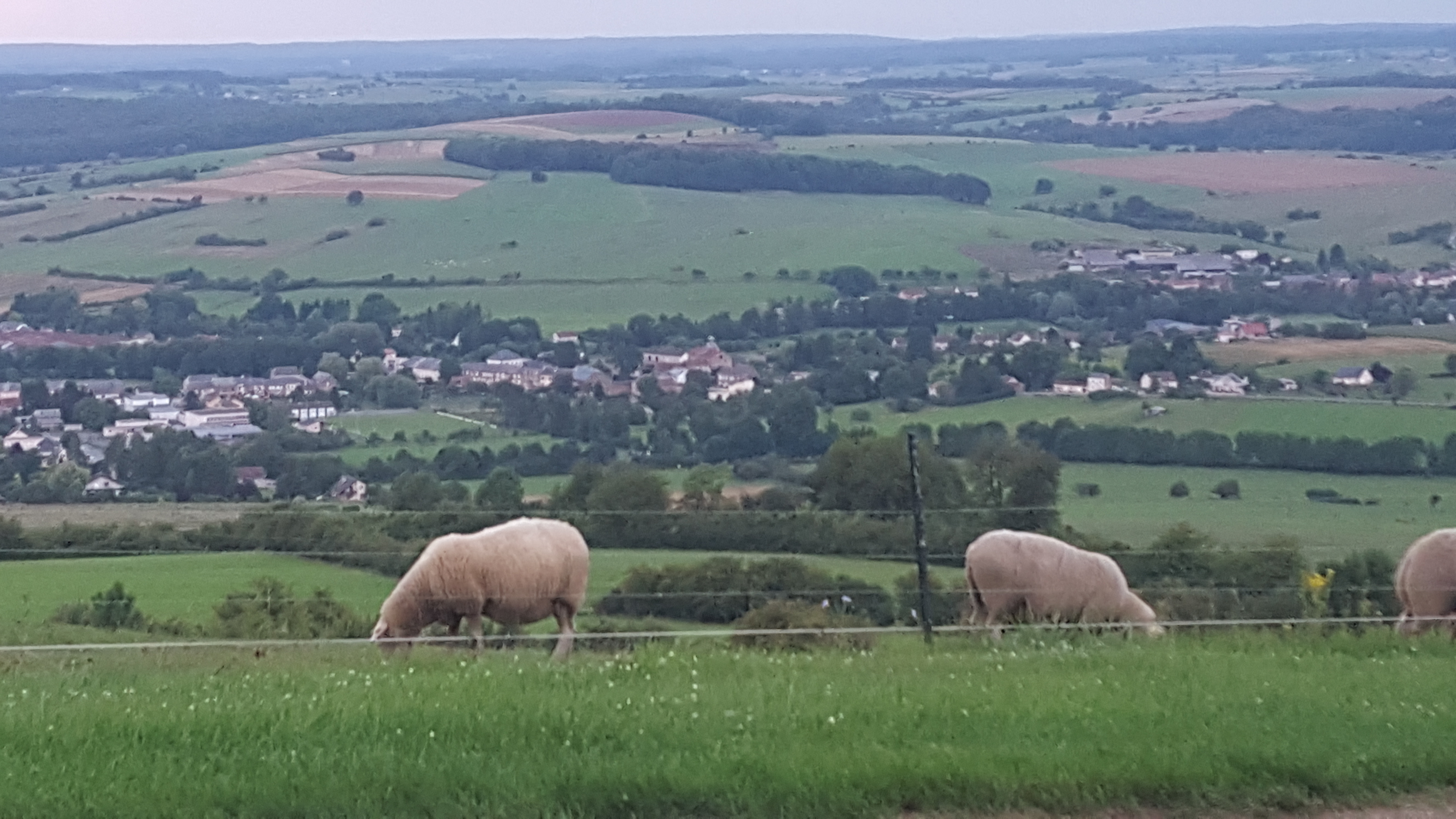 Photo n° 2 de l'avis de Jean.u fait le 29/07/2017 à 14:53
